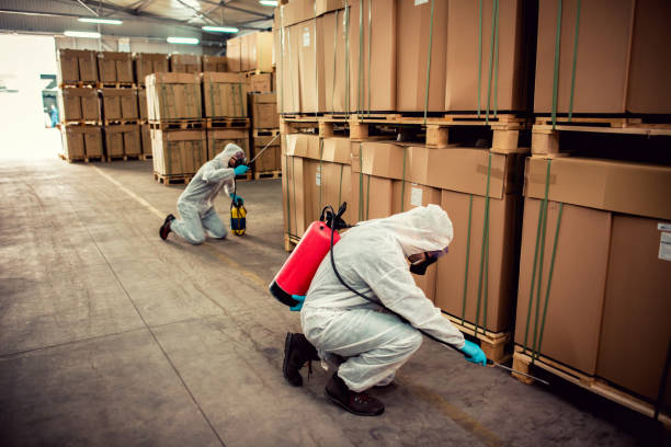 Best Pest Control Near Me in Oxon Hill, MD