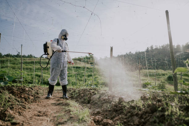 Best Best Pest Control Companies  in Oxon Hill, MD