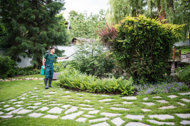 Best Pest Prevention Services  in Oxon Hill, MD