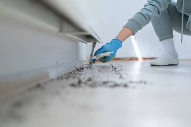 Bird Control in Oxon Hill, MD