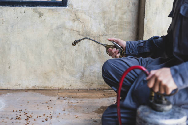 Best Wasp Removal Services  in Oxon Hill, MD