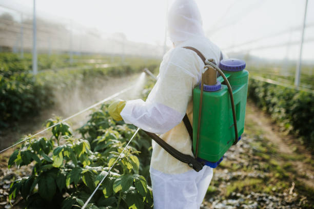  Oxon Hill, MD Pest Control Pros
